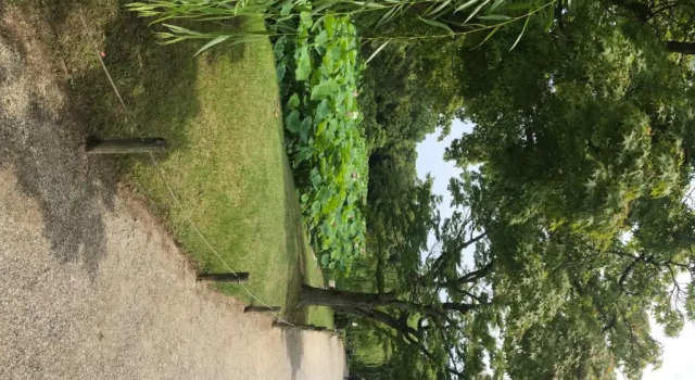 Коттедж INARI - Vacation STAY 87349