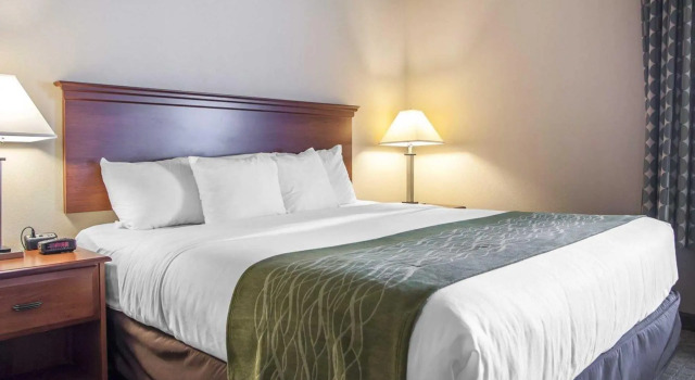 Люкс Comfort Inn & Suites Tuscumbia-Muscle Shoals