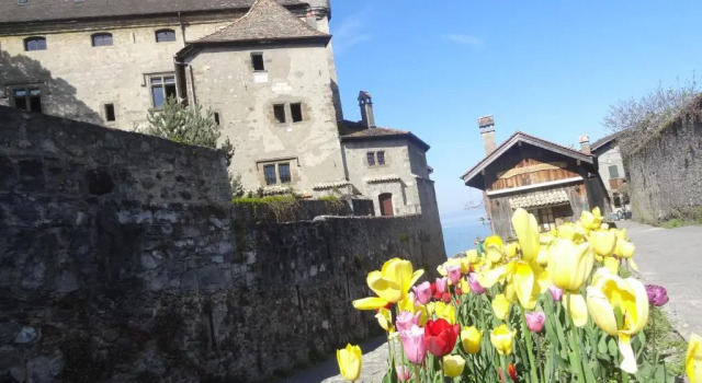 La Pointe D'Yvoire, Rezervovat Hotel Yvoire Leman Lake South