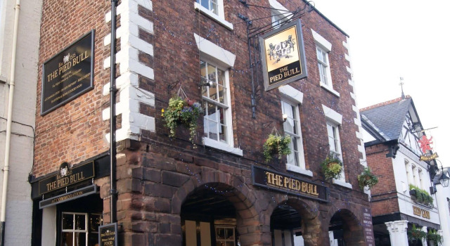 The Pied Bull