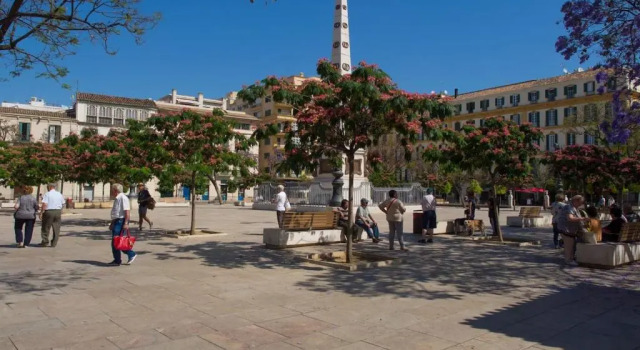 Кровать в общем номере Málaga Casco Histórico