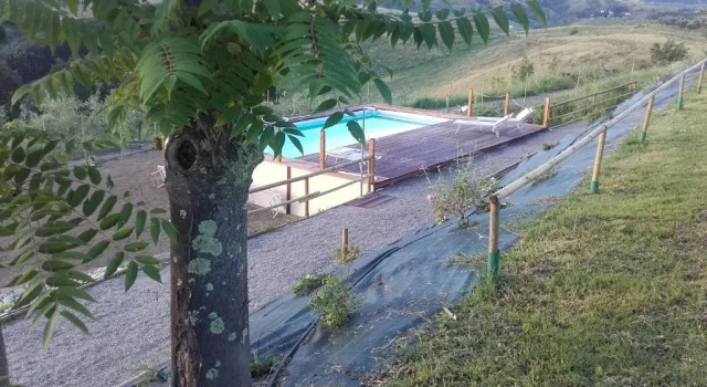 Номер Standard Agriturismo Il Torrione