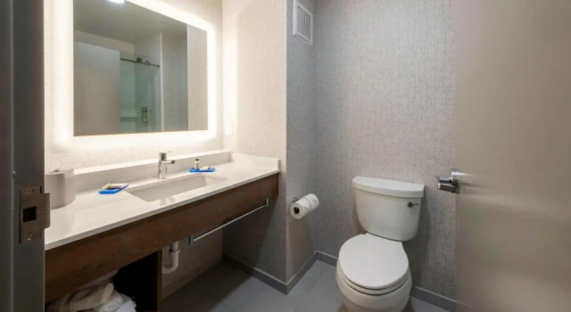 Номер Standard Holiday Inn Express Hotel & Suites Petersburg/Dinwiddie by IHG
