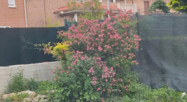 Casa amplia y luminosa cerca de Pamplona - Izarren Etxea