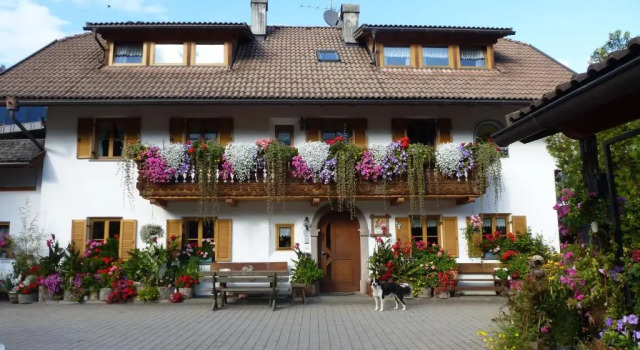 Апартаменты Haus Ploner - Pichlerhof