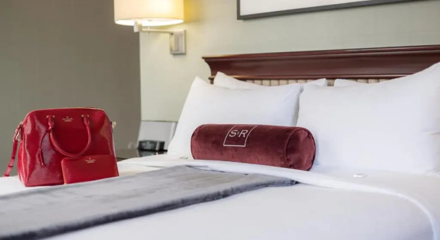 Двухместный полулюкс The St. Regis Hotel