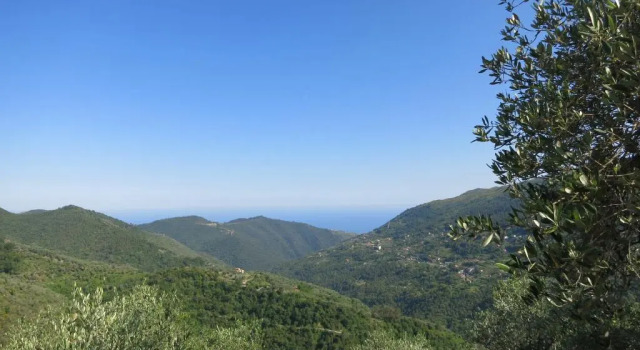 Cottage Rustic Liguria