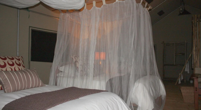 Chalet Miombo Safari