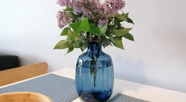 Апартаменты Apartament Gromadzyń 39