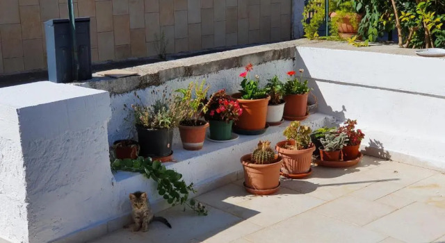 Mamapulia Home, Book Hotel Alberobello Bari Province