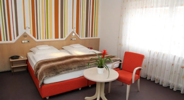 Двухместный номер Comfort Hotel Vetter