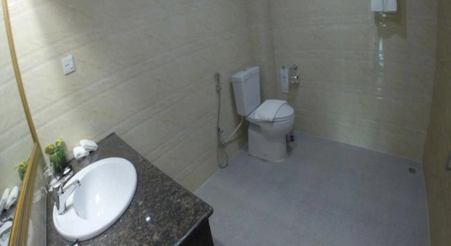 Двухместный номер Deluxe Silver Green Hotel