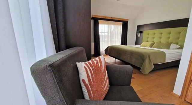 Двухместный номер Deluxe Hotel Inn Salland