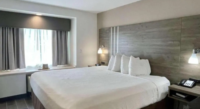 Люкс Best Western Roanoke Inn & Suites