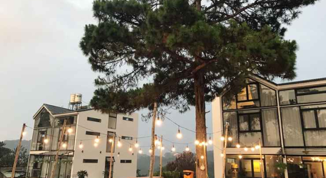 The Kupid - Dalat No Single, Book Lejlighed Da Lat Lam Dong