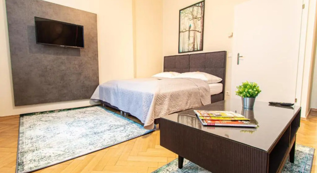 Monolocale Apartment Lindengasse