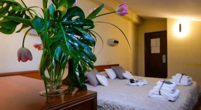 Standard cameră Hotel Grimaldi