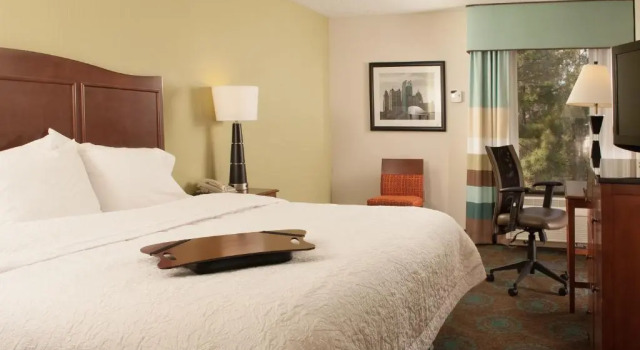 Двухместный номер Accessible Hampton Inn Atlanta-North Druid Hills