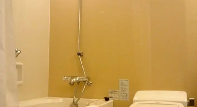 Номер Standard Hotel Arc Riche Toyohashi