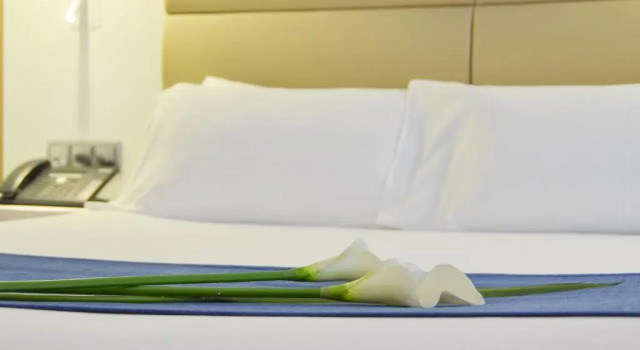 Двухместный номер Standard Hotel Miau