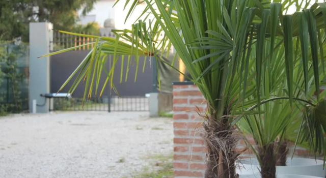 Nuovo B&B Whynot? a Vicenza (Adults Only), Book Bed and Breakfast Vicenza Venetien