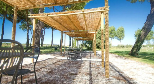 Апартаменты La Fattoria di Tirrenia