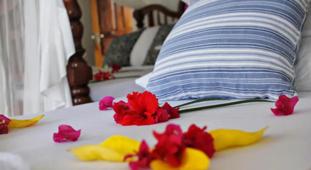 Номер Standard Aya Beach Resort