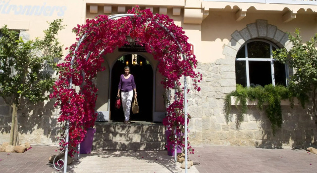 Hôtel Le Mas des Citronniers