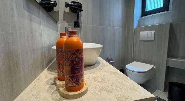 Номер Deluxe Downtown Suites