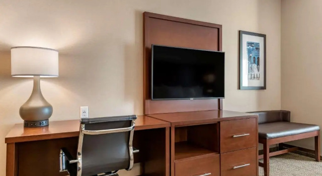 Люкс Comfort Suites Camp Hill-Harrisburg West