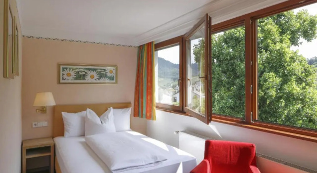 Одноместный номер Comfort Hotel Rebenhof