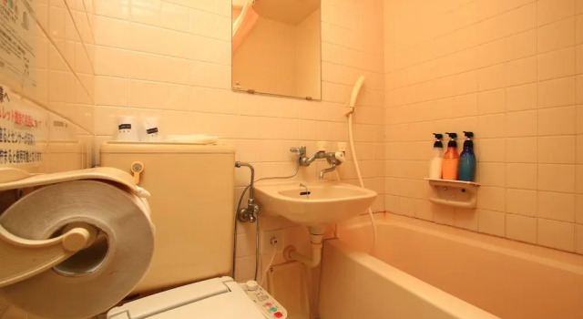 Двухместный номер Standard Hotel New Nishida