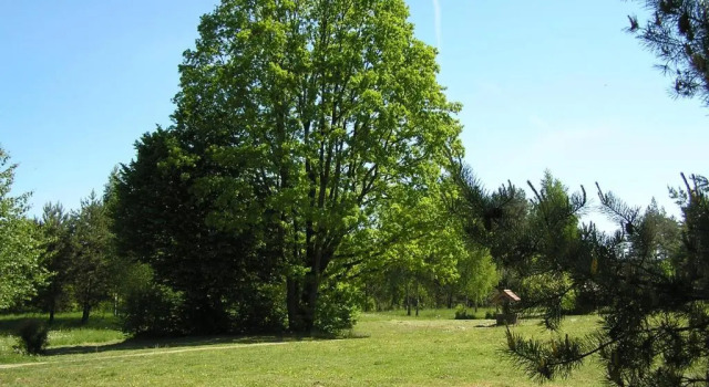 Wymój Park, Забронировать Отель Отели Мазурия с парковкой, Парковка