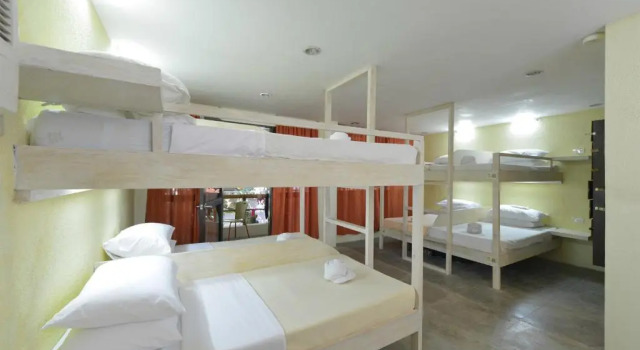 Seng i sovesal Lazy Dog Bed & Breakfast