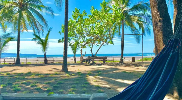 Кровать в общем номере Hotel Oasis & Surf Camp