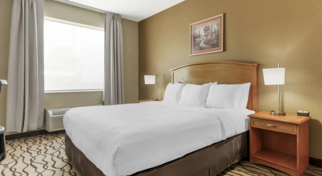Двухместный Room Comfort Inn & Suites Chesapeake - Portsmouth