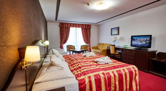 Двухместный номер Superior Hotel Zur Burg