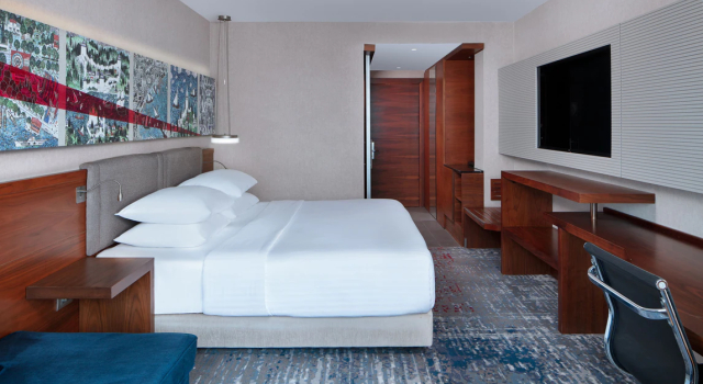 Двухместный номер Deluxe с видом на город Delta Hotels by Marriott Istanbul Levent