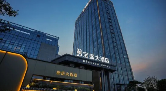 Ningyang Blossom Grand Hotel, Prenota Hotel Taian 