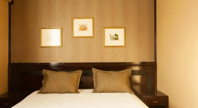 Люкс Standard Balikcilar Hotel