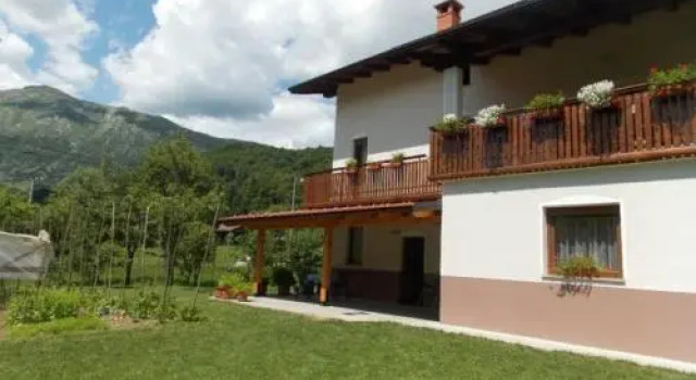 Apartment and Room Natasa