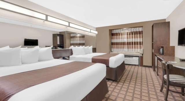 Четырёхместный номер Standard Microtel Inn & Suites by Wyndham