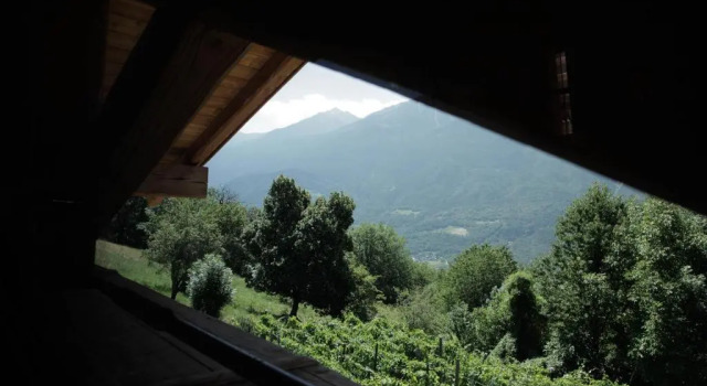 Люкс La casa di paglia B&B