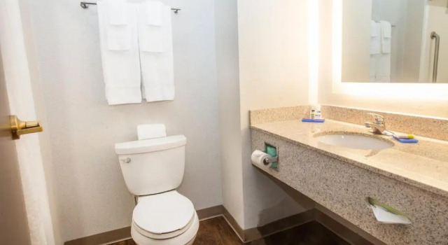 Люкс c 1 комнатой Holiday Inn Express & Suites Bethlehem Airport-Allentown Area