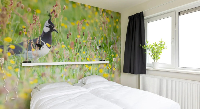 Holiday Home in Nes Near Vleijen Area, Reserva ahora Casa o chalet Nes Ameland