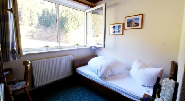 Номер Standard Hotel Sonnleitn