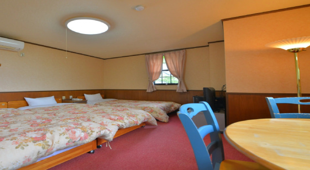 Трёхместный номер Standard Hotel Euro City