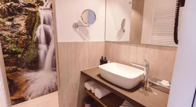 Двухместный номер Standard Hotel Libertas elements pure