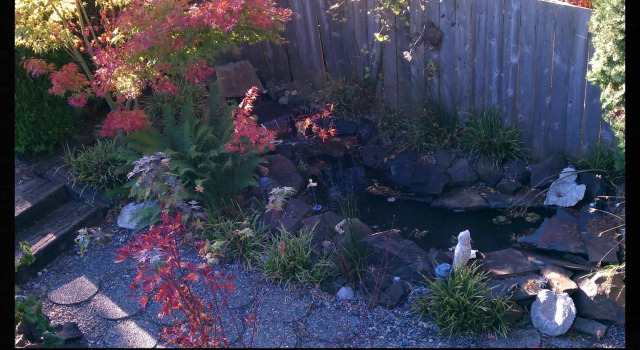 Secret Garden Bed & Breakfast, Boek Hotel Tacoma 