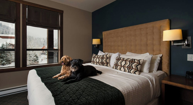 Standard chambre 2 chambres avec balcon Evolution Whistler